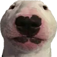 farfadoxWalter