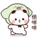 BGreenPig