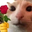 emoji_12