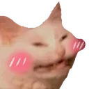 Cat_Blush