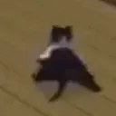 catbreakdance