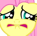 _FlutterCry