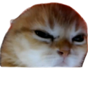 Mad_Cat Discord emoji