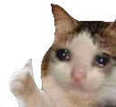 sad_cat Discord emoji