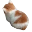 Angy Angy