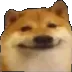 CC_dog_smirk Discord emoji