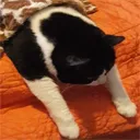 CleoTired