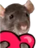 RatLove RatLove