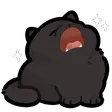 cat5_scream_sing