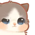 cat4_uh