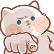cat2_finger_judge