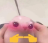 Bingus_uwu Discord emoji