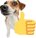thumbsupdog