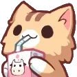 CatSip CatSip