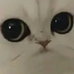 not_hehe