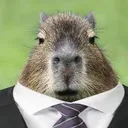 capybaralawyer