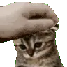 sadpat