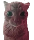 stare_police stare_police