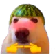 WatameloDog