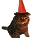 sadcat
