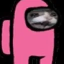amoguscat