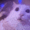 mariajuana Discord emoji