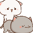 cat_beating