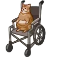 pyroWheelchair