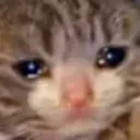 Cat Cry3 Discord Emoji