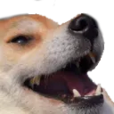 cc__kek