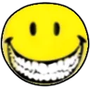 HeheSmile Discord Emoji