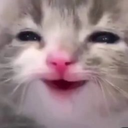 cat_Happy Discord emoji