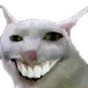 xd