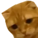 FeelsLikeCatto