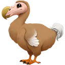 dodofrommobileforcalconpc