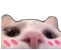 peekkittyblush