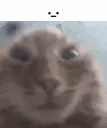 __