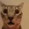 scared