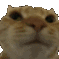 NHM_No Discord emoji
