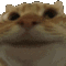 NHM_Yes Discord emoji