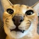 goofygus Discord Emoji