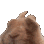 :BunnyVibe: