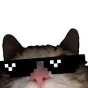 thugcreepercat Discord Emoji