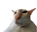 guh