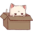slipn3Box slipn3Box