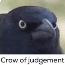 1crowjudgement custom emote | Adultcord 🧿