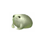albifrog