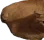 gwa1