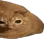 gwa2 gwa2