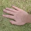 DamianTouchGrass
